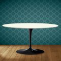 Konferenční stolek Saarinen Tulip, oválný, výška 41 cm, keramika Moonè, vyrobeno v Itálii - Scarlet