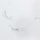 Rozkládací jídelní stůl 240 cm sklo a keramická deska - Barone Viadurini