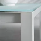 Zahradní stůl s lakovanou hliníkovou konstrukcí a skleněnou deskou - Salim Viadurini