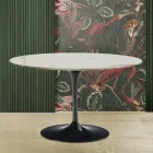 Eero Saarinen H 73 Tulipánový stůl ze zlatého mramoru Caracatta Made in Italy Viadurini