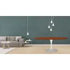 Tulipánový stůl Eero Saarinen H 73 Oval z třešňového mořeného dubu Made in Italy - Scarlet Viadurini