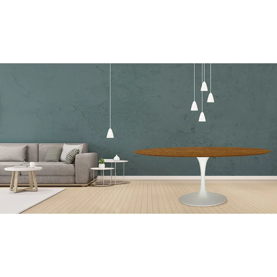 Eero Saarinen Tulipánový stůl H 73 oválný z dubu mořeného na světlý ořech Made in Italy - Scarlet Viadurini