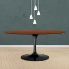Eero Saarinen Tulipánový stůl H 73 oválný z tmavě mořeného ořechového dubu Made in Italy - Scarlet Viadurini