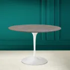 Tulipánový stůl Eero Saarinen H 73 Round z keramiky Pietra Grey Made in Italy - Scarlet Viadurini