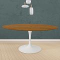 Kulatý stůl Tulipán Eero Saarinen H 73 ve světlém ořechu mořený dub Made in Italy - Scarlet