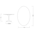Eero Saarinen Tulip Table H 74 s oválnou deskou z mramoru Arabescato Made in Italy - Scarlet Viadurini