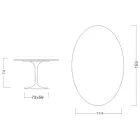 Eero Saarinen Tulip Table H 74 s oválnou deskou z mramoru Arabescato Made in Italy - Scarlet Viadurini