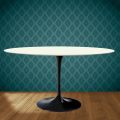 Eero Saarinen Tulip stůl H 74 Oválný z keramiky Moonè Vyrobeno v Itálii - Scarlet