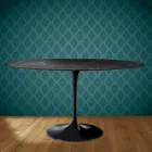 Eero Saarinen Tulip stůl H 74 Oval v keramice Somnia vyrobeno v Itálii - Scarlet Viadurini
