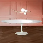 Eero Saarinen Tulip stůl H 74 Oval v tekutém laminátu Vyrobeno v Itálii - Scarlet Viadurini