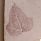 Toscot Vivaldi stěnová svítidla vyrobená v Itálii Viadurini