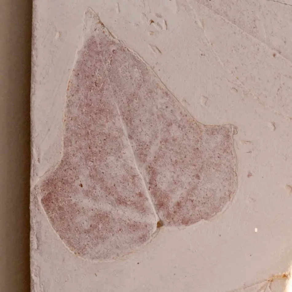 Toscot Vivaldi stěnová svítidla vyrobená v Itálii Viadurini