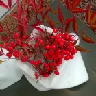 Dekorativní designová váza v Bardiglio nebo Carrara mramoru vyrobená v Itálii - Prisma Viadurini