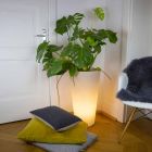Vícebarevný nebo solární LED osvětlený hrnec pro zahradu nebo obývací pokoj - Vasostar Viadurini