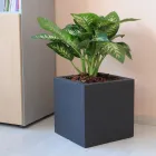 Hrnec nebo čtvercový zahradní dělič Tři barvy Made in Italy - Rostliny Viadurini