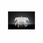 Okrasná váza pro interiér v bílém keramickém nebo 24k zlatě vyrobená v Itálii - Jacky Viadurini