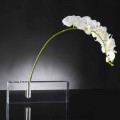 Moderní průhledná váza na květiny z plexiskla vyrobená v Itálii - jedinečná