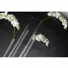 Průhledná vnitřní váza z plexiskla vyrobená v Itálii - Fortunato Viadurini