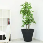 Kulatá barevná zahradní váza nebo s osvětlením Made in Italy - Avanas Viadurini